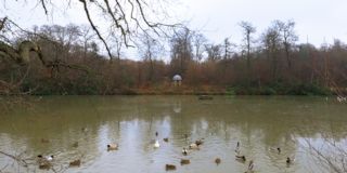 Benbow Pond West bank