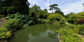 Chartwell pond