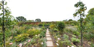 Mottisfont Abbey Rose Garden