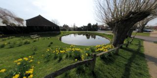 Wisborough Green Pond
