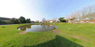 Wisborough Green Pond